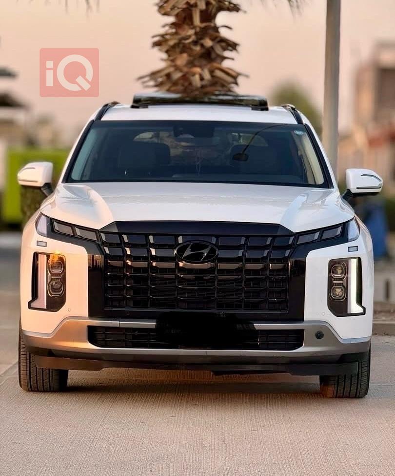 هیۆندای پالیسەید